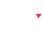 Inc CEO Project logo white small